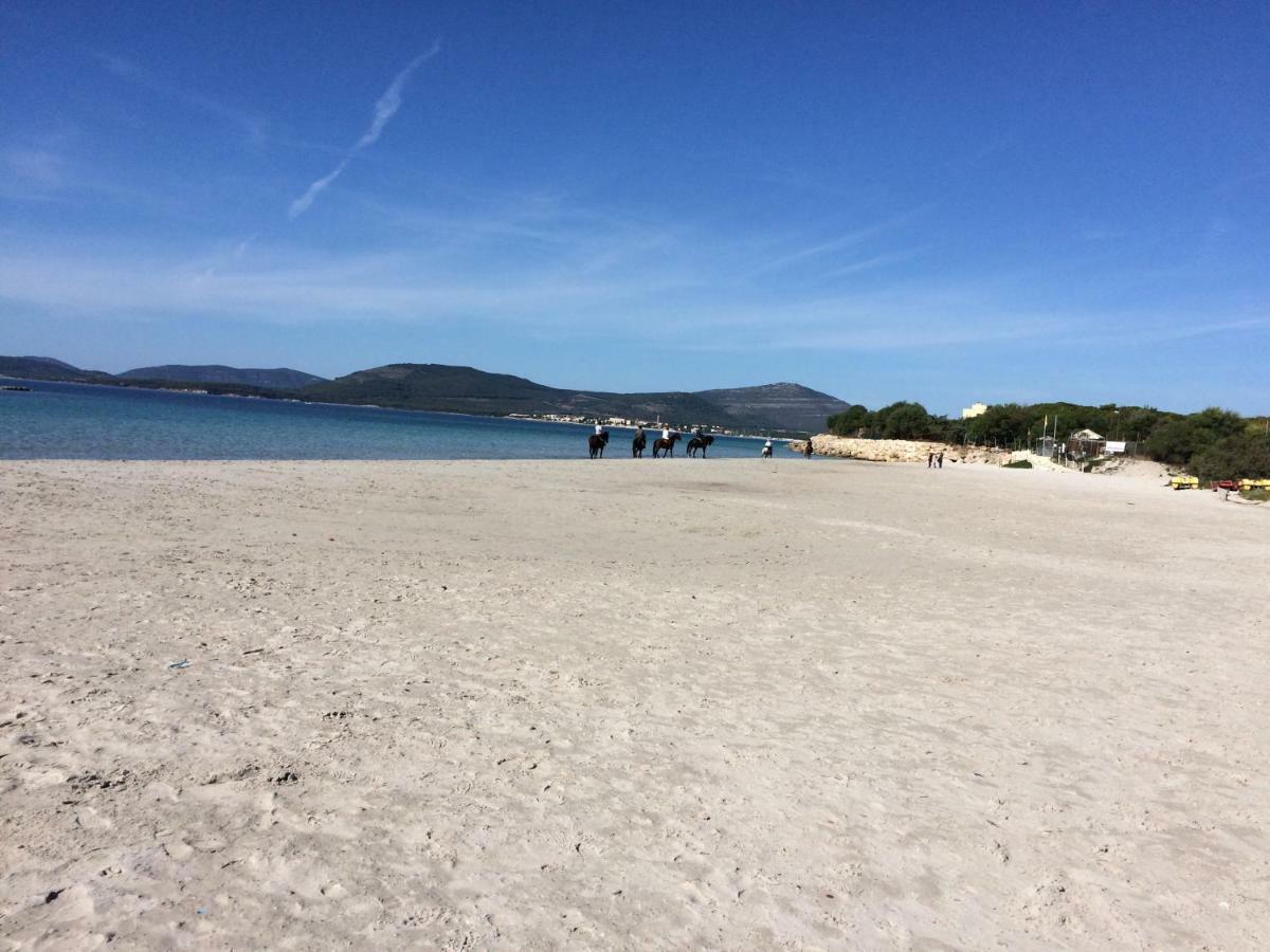 אלגהרו Appartamento Fronte Spiaggia Lido מראה חיצוני תמונה